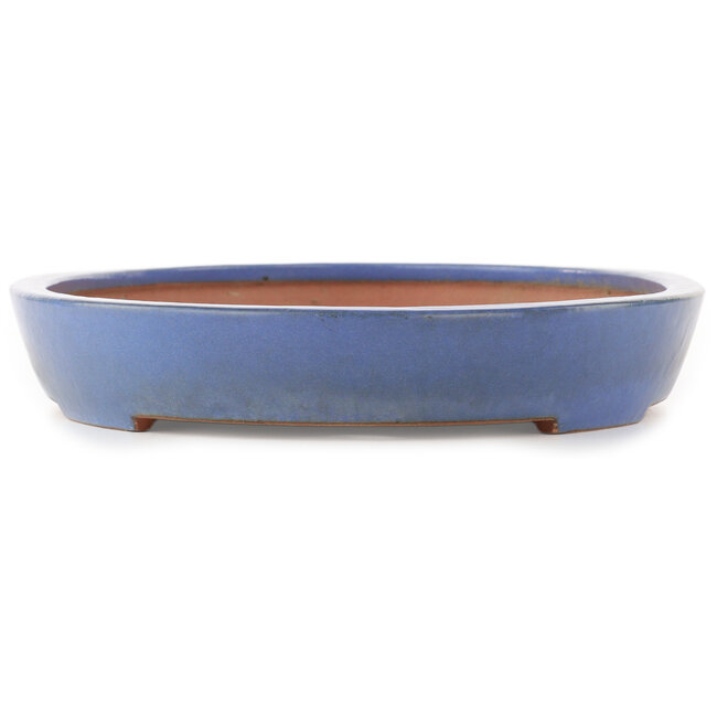 Ovale blauwe bonsai pot van Reiho - 460 x 300 x 50 mm