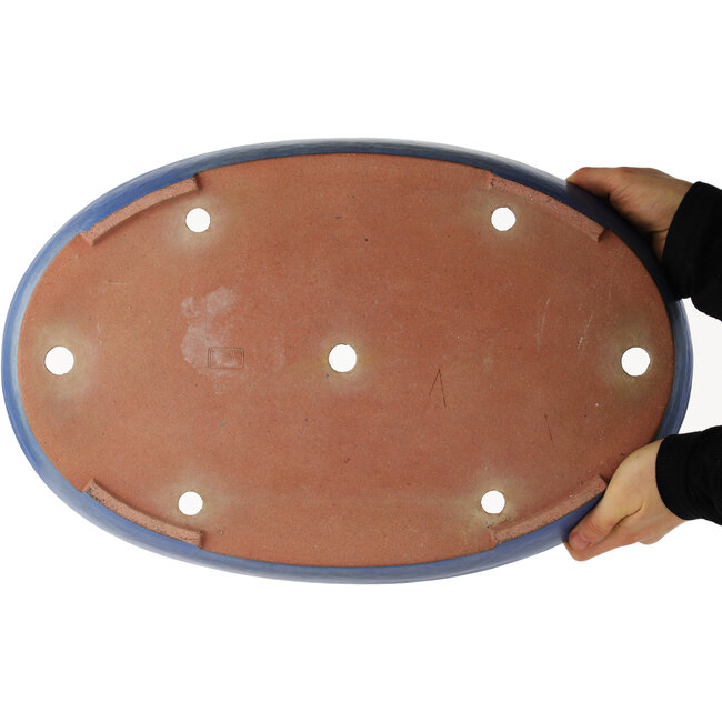Maceta ovalada azul para bonsái de Reiho - 460 x 300 x 50 mm