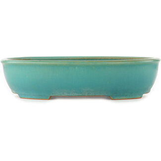 Ikkou - Watanabe Kazuhiro æ¸¡è¾ºä¸€å¼˜ 370 mm oval turquoise bonsai pot by Ikkou, Tokoname, Japan