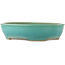 Oval turquoise bonsai pot by Ikkou - 370 x 300 x 80 mm