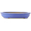 Oval blue bonsai pot by Reiho - 460 x 330 x 50 mm