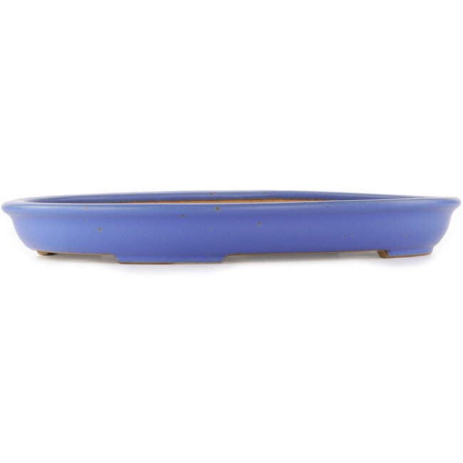 Oval blue bonsai pot by Reiho - 460 x 330 x 50 mm