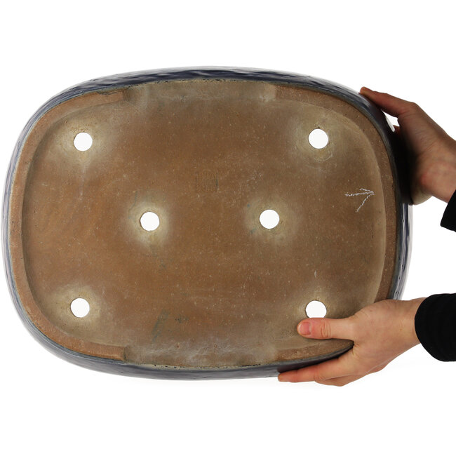 Pot à bonsaï ovale bleu de Shuhou - 425 x 330 x 75 mm