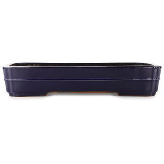  Yamafusa - Takehiko Koie Maceta rectangular azul para bonsái de 380 mm de Yamafusa, Tokoname, Japón