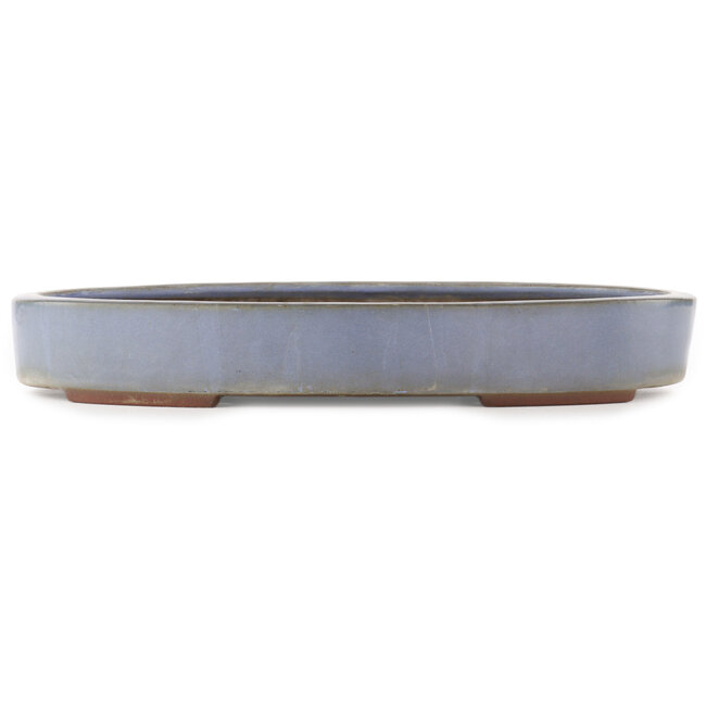 Oval blue bonsai pot by Yamaaki - 405 x 280 x 60 mm