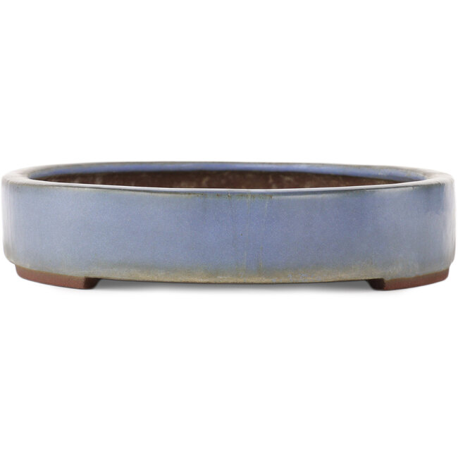 Pot à bonsaï ovale bleu de Yamaaki - 405 x 280 x 60 mm