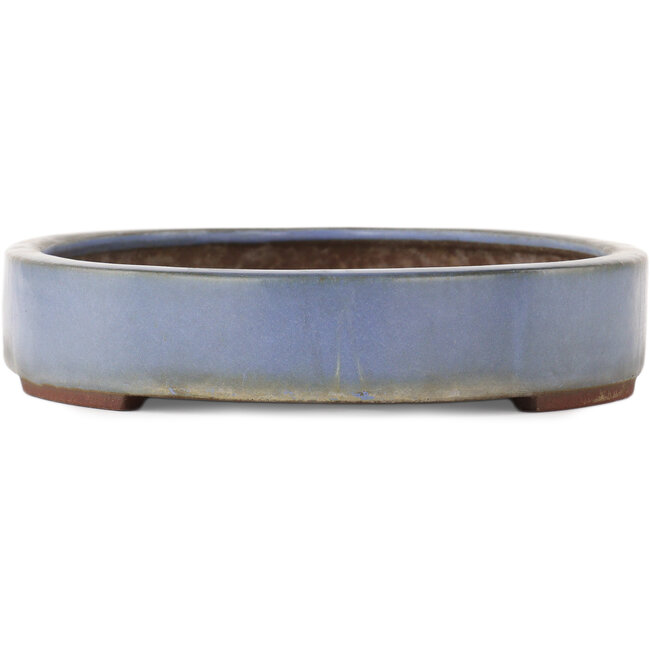 Vaso bonsai ovale blu di Yamaaki - 405 x 280 x 60 mm