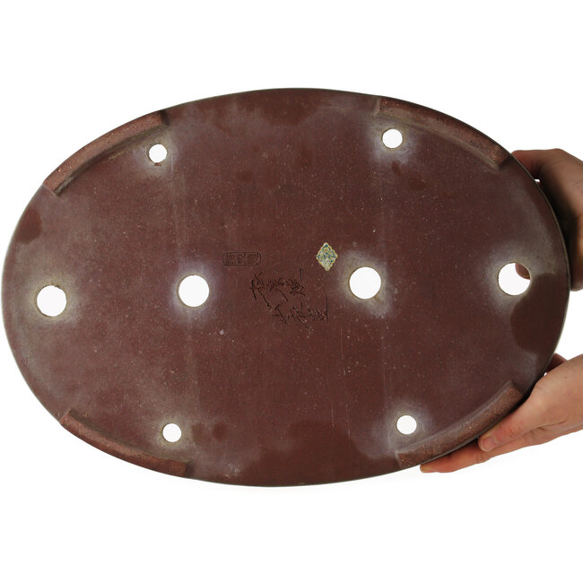 Maceta ovalada azul para bonsái de Yamaaki - 405 x 280 x 60 mm