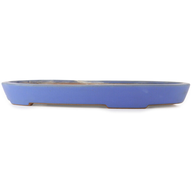 Pot à bonsaï ovale bleu de Reiho - 410 x 285 x 40 mm