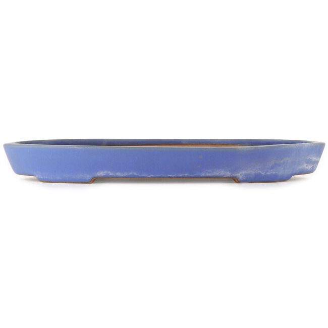 Pot à bonsaï ovale bleu de Reiho - 410 x 285 x 40 mm