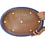 Pot à bonsaï ovale bleu de Reiho - 410 x 285 x 40 mm