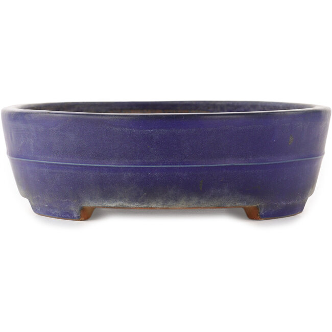 Maceta ovalada azul para bonsái de Yamafusa - 350 x 270 x 85 mm