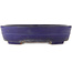 Oval blue bonsai pot by Yamafusa - 350 x 270 x 85 mm