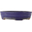 Vaso bonsai ovale blu di Yamafusa - 350 x 270 x 85 mm