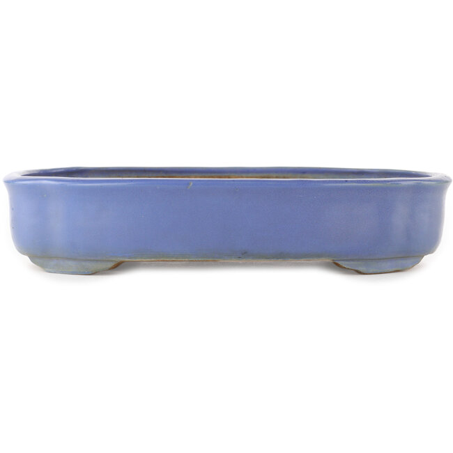 Vaso bonsai blu Mokko di Shuhou - 350 x 265 x 70 mm