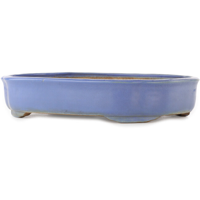 Maceta para bonsái azul Mokko de Shuhou - 350 x 265 x 70 mm