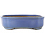 Vaso bonsai blu Mokko di Shuhou - 350 x 265 x 70 mm