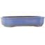 Vaso bonsai blu Mokko di Shuhou - 350 x 265 x 70 mm