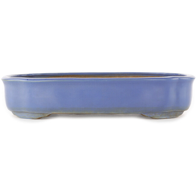 Mokko blauwe bonsai pot van Shuhou - 350 x 265 x 70 mm