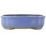 Vaso bonsai blu Mokko di Shuhou - 350 x 265 x 70 mm
