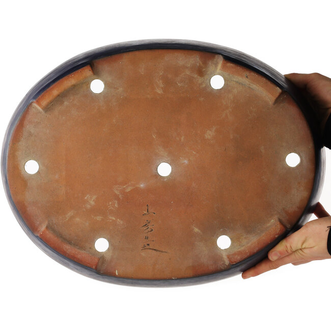 Maceta ovalada azul para bonsái de Yamafusa - 405 x 310 x 85 mm