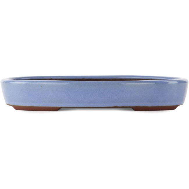 Pot à bonsaï ovale bleu de Yamaaki - 290 x 225 x 50 mm