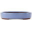 Oval blue bonsai pot by Yamaaki - 290 x 225 x 50 mm