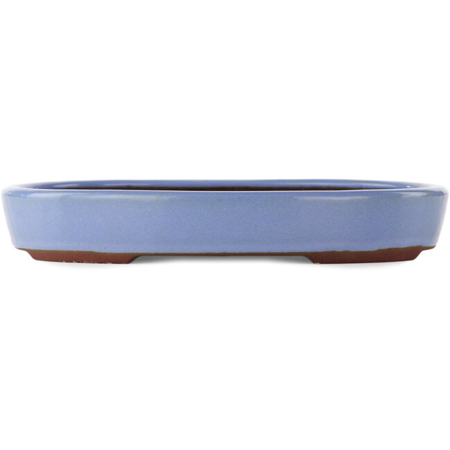 Maceta ovalada azul para bonsái de Yamaaki - 290 x 225 x 50 mm
