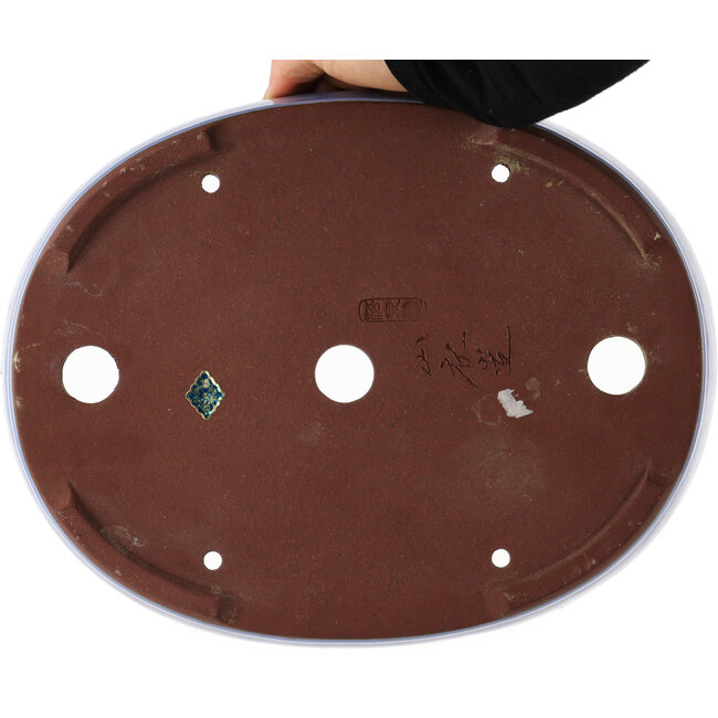 Maceta ovalada azul para bonsái de Yamaaki - 290 x 225 x 50 mm