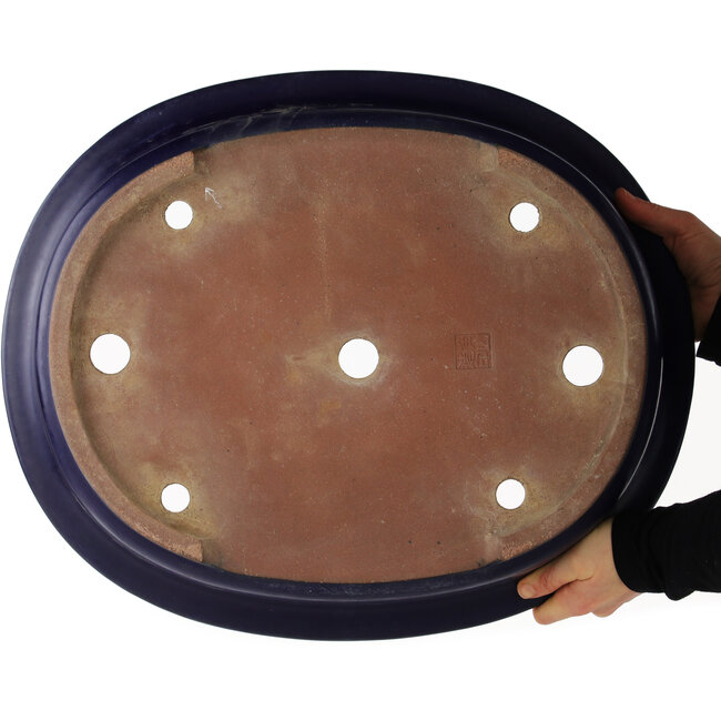 Pot à bonsaï ovale bleu de Kakuzan - 510 x 415 x 105 mm