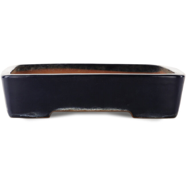 Pot à bonsaï rectangulaire bleu de Yamafusa - 410 x 305 x 75 mm