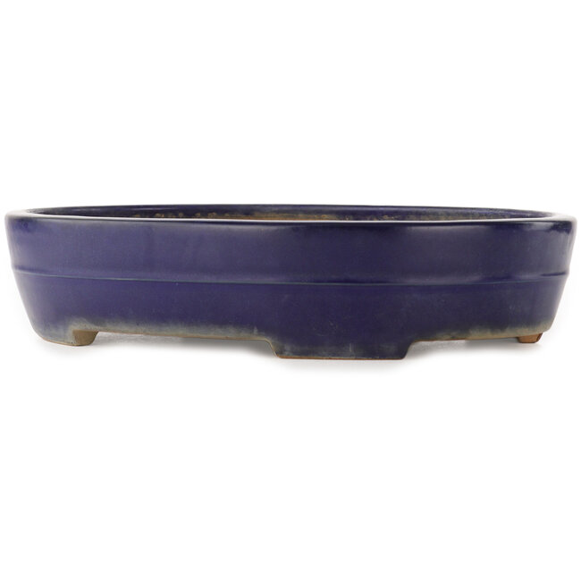 Maceta ovalada azul para bonsái de Yamafusa - 405 x 310 x 80 mm