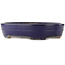 Pot à bonsaï ovale bleu de Yamafusa - 405 x 310 x 80 mm