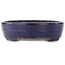 Pot à bonsaï ovale bleu de Yamafusa - 405 x 310 x 80 mm