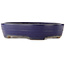 Oval blue bonsai pot by Yamafusa - 405 x 310 x 80 mm