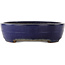 Pot à bonsaï ovale bleu de Yamafusa - 405 x 310 x 80 mm