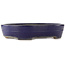 Pot à bonsaï ovale bleu de Yamafusa - 405 x 310 x 80 mm