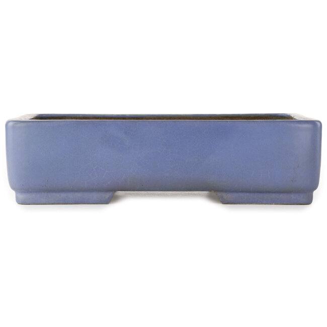 Maceta rectangular azul para bonsái de Hattori - 365 x 275 x 95 mm