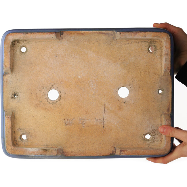 Maceta rectangular azul para bonsái de Hattori - 365 x 275 x 95 mm