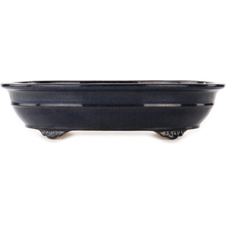 Reihou (Bonsai Matsushita Hiroyuki or Mr.MATSUSHITA Reiji    Master) 425 mm oval blue bonsai pot by Reiho, Tokoname, Japan