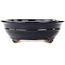 Ovale blauwe bonsai pot van Reiho - 425 x 320 x 95 mm