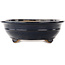 Oval blue bonsai pot by Reiho - 425 x 320 x 95 mm