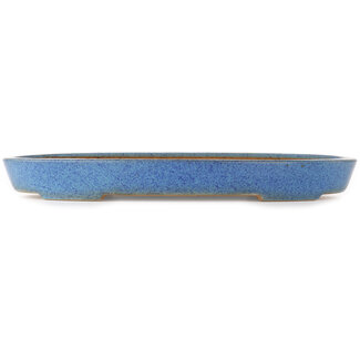 Reihou (Bonsai Matsushita Hiroyuki or Mr.MATSUSHITA Reiji    Master) 410 mm oval blue bonsai pot by Reiho, Tokoname, Japan