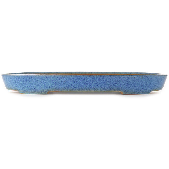 Oval blue bonsai pot by Reiho - 410 x 275 x 40 mm