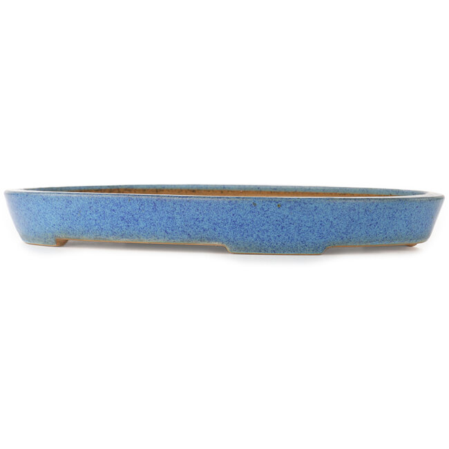 Oval blue bonsai pot by Reiho - 410 x 275 x 40 mm