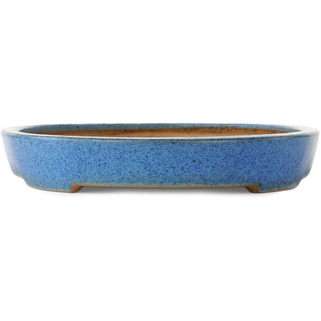 Oval blue bonsai pot by Reiho - 410 x 275 x 40 mm