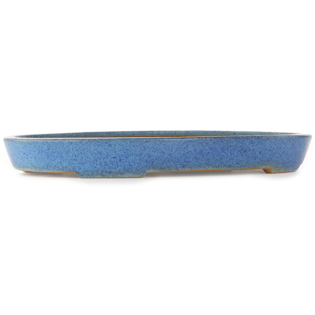 Oval blue bonsai pot by Reiho - 410 x 275 x 40 mm