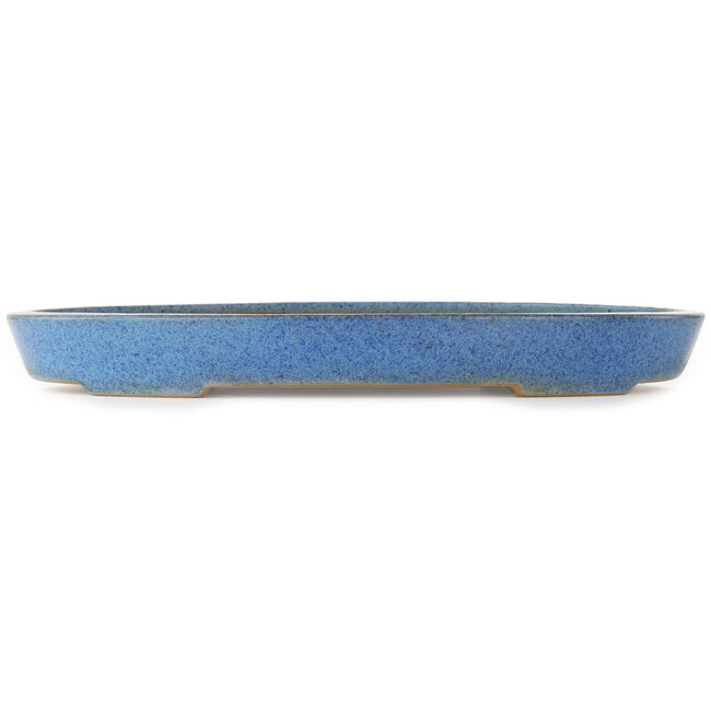 Maceta ovalada azul para bonsái de Reiho - 410 x 275 x 40 mm