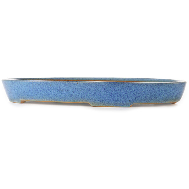 Pot à bonsaï ovale bleu de Reiho - 410 x 275 x 40 mm