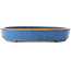 Pot à bonsaï ovale bleu de Reiho - 410 x 275 x 40 mm